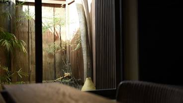 部屋からの景観 / 21