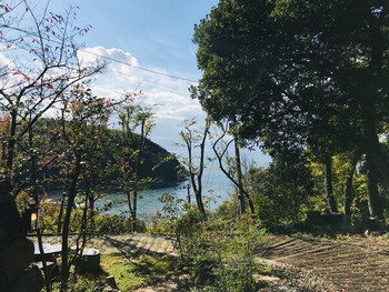 由来ともなった小さな湾を望む3486639