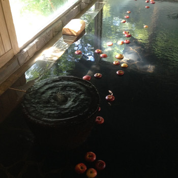 4.島崎藤村ゆかりの宿 中棚荘4263332