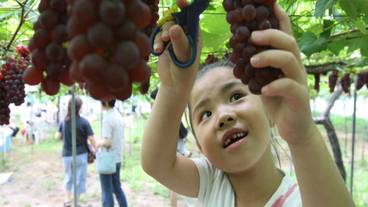 観光スポット / 8