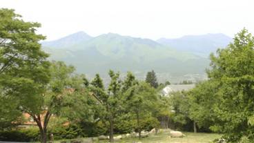 マウンテン ビュー / 6