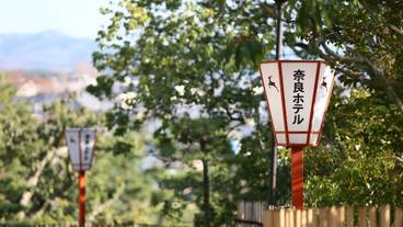 奈良ホテルの灯篭 / 5