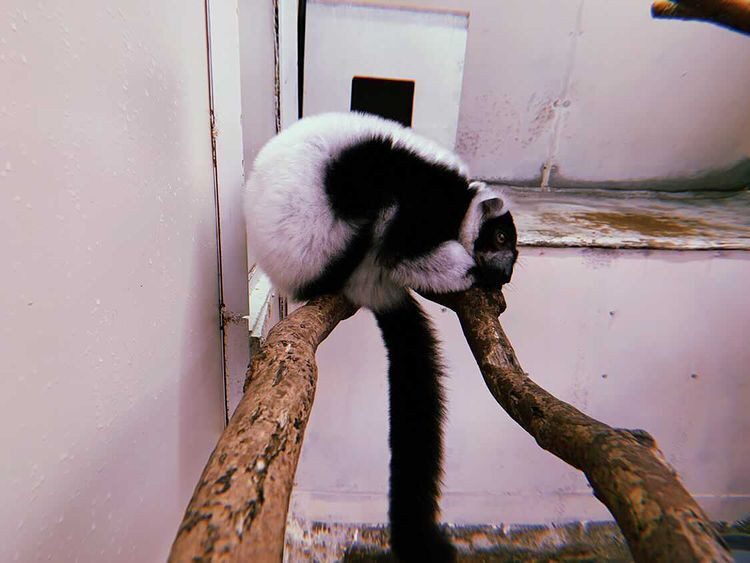 econeco0923さんの写真 / 2