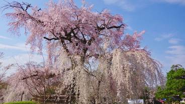宿泊施設の地図 / 21