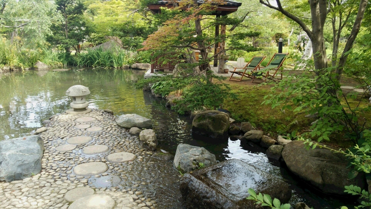 その日に獲れた新鮮な食材を盛りたての料理で提供3534037