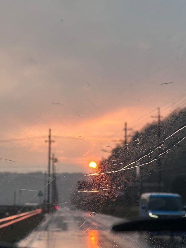 mipopo030さんの写真 / 3