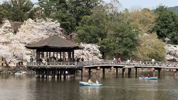 観光スポット / 4