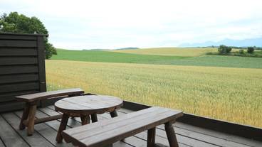 テラス / パティオ / 19