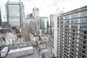 新橋の景色を一望できます