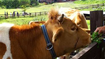 シティ ビュー / 10