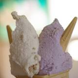 マキノピックランド　センターハウス（マキノピックランドセンターハウス）