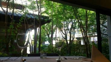 テラス / パティオ / 12