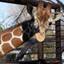 神奈川県の動物園に行こう♪充実して遊べる動物園7選