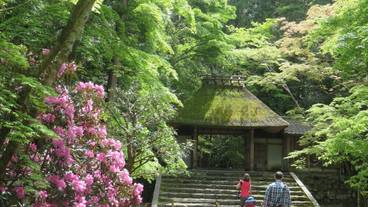 観光スポット / 7