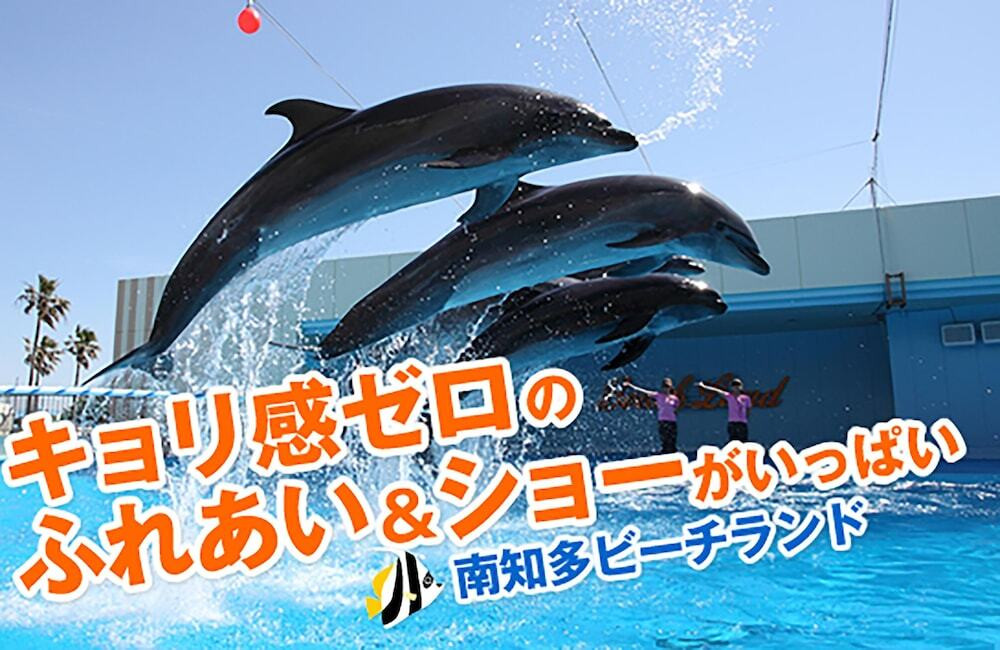 観光スポット