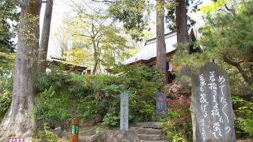 観光スポット / 31