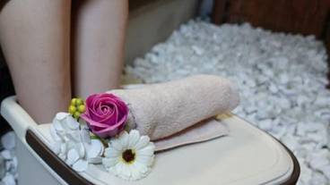 客室の設備とサービス / 14