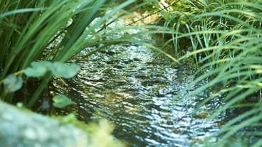 施設の敷地 / 20