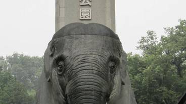 観光スポット / 13