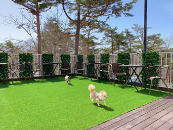 「軽井沢ホテルそよかぜ」 その他 151614634 そよかぜグリーンデッキ