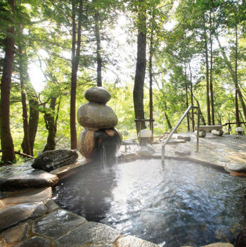 大自然に還る貸切露天風呂4031496