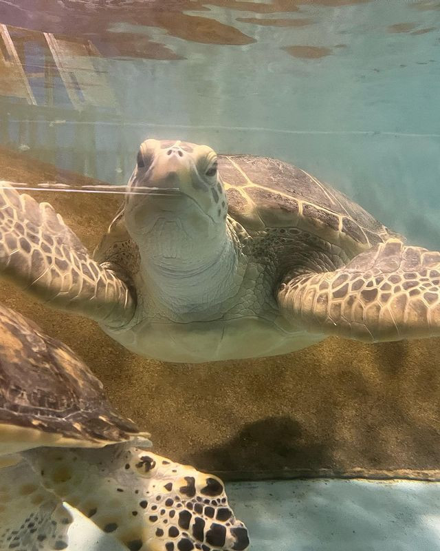 chihiro_s.k.rさんの写真 / 4