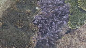 施設からの眺望 / 23