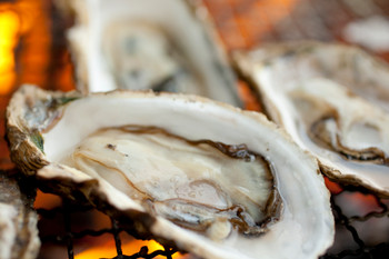 Charcoal grilled oysters