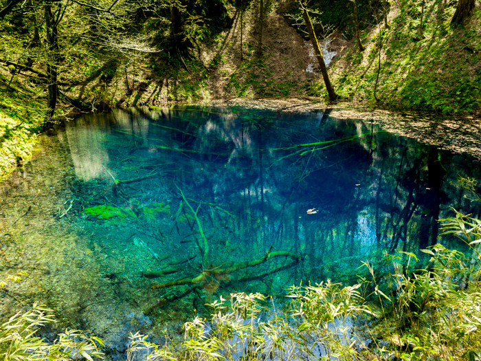 ※画像はイメージです。