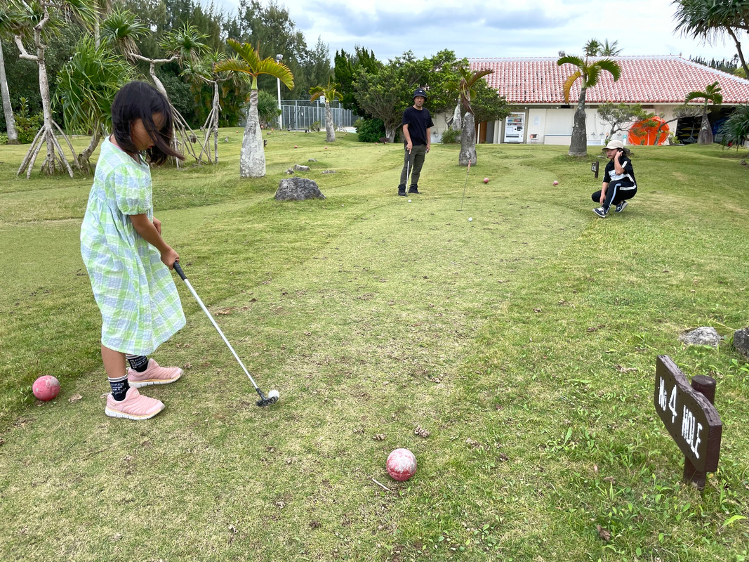 mignon_2015さんの写真 / 1