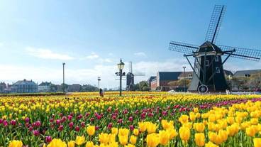 観光スポット / 4