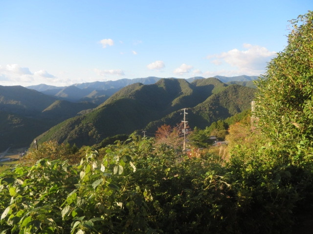 客室からの眺め