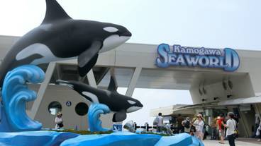 鴨川シーワールド　エントランス / 6