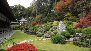 紅葉した「龍潭寺」の庭園 / 1