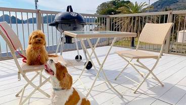 部屋からの景観 / 25