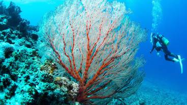 スポーツ設備 / 5