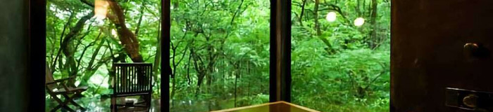 【阿蘇】露天風呂付き客室の旅館14選!カップルで温泉三昧