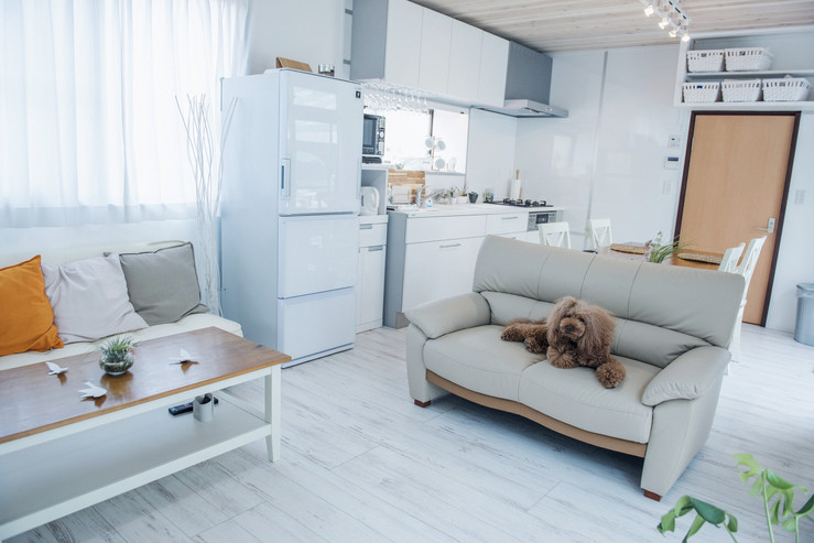 潮の香りで目覚める朝…スローなビーチライフを体験3517953