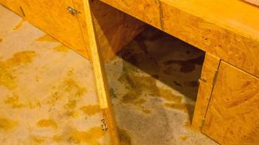 客室の設備とサービス / 16