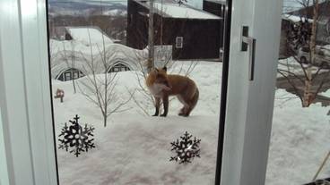 部屋からの景観 / 10