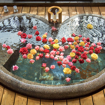 2.お宿うち山3993915