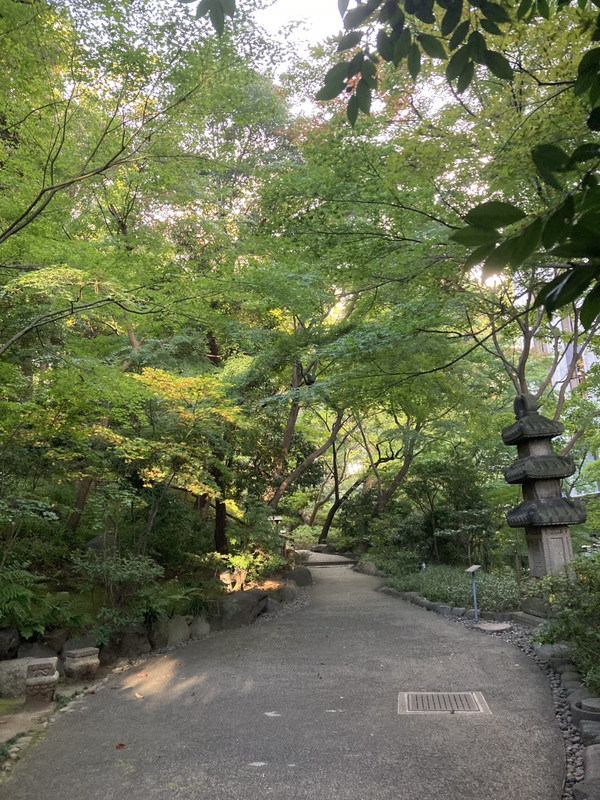 小さいながらも素敵な庭園
