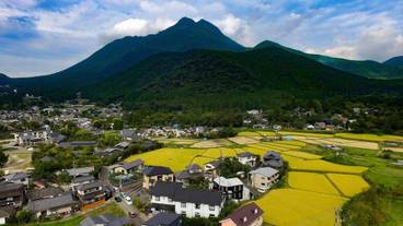 ランド ビュー / 40