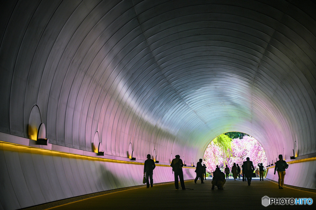 5.光と影の幻想的な世界に浸る「MIHO MUSEUM」2211123