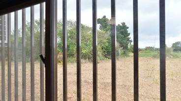 部屋からの景観 / 25