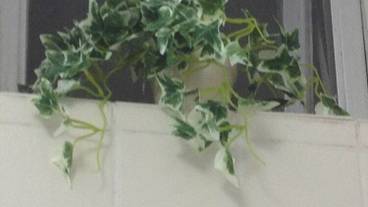 内装の詳細 / 13