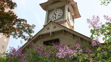 観光スポット / 12