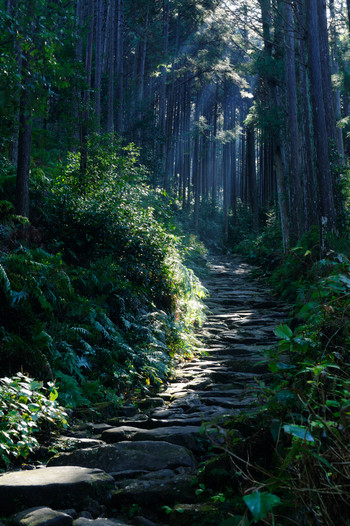 【熊野古道】馬越峠