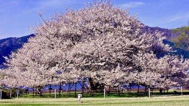 シティ ビュー / 34