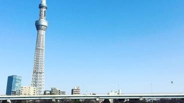 観光スポット / 8